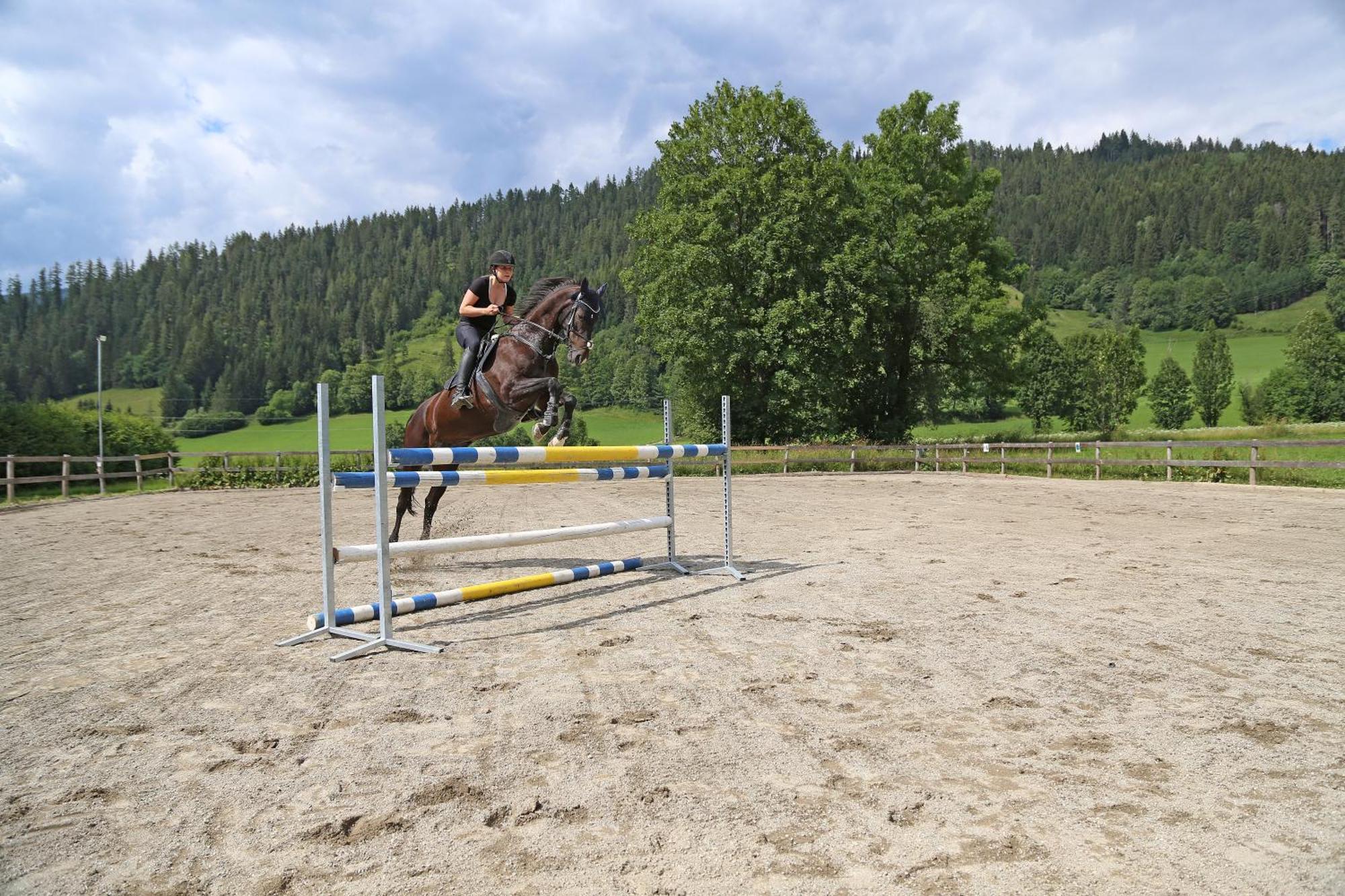Ferienhof Kasparbauer Radstadt Luaran gambar